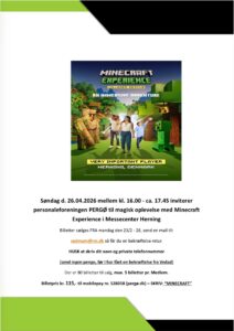 Minecraft Experience